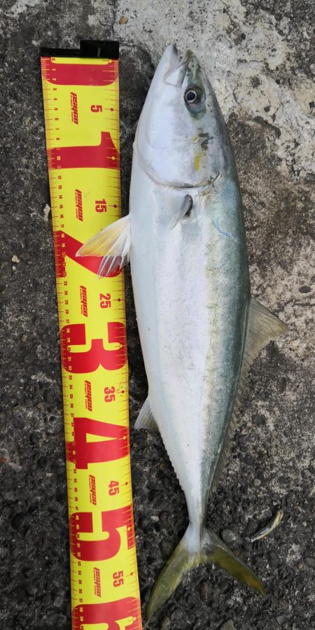 爆風!!ヽ(ﾟдﾟヽ)(ﾉﾟдﾟ)ﾉ!!