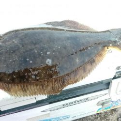 モーニングサービス