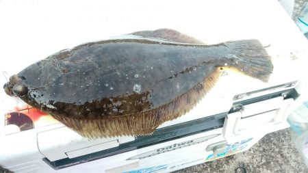 モーニングサービス