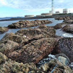 フカセ‥最高ですネ・・