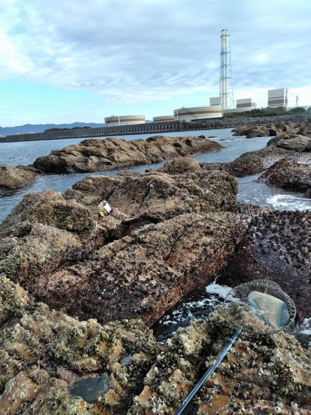 フカセ‥最高ですネ・・