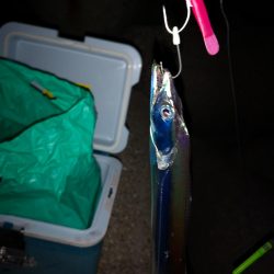 ご無沙汰でした