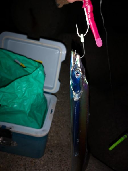 ご無沙汰でした