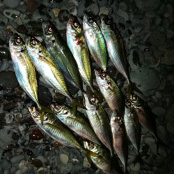 フロートゲーム～