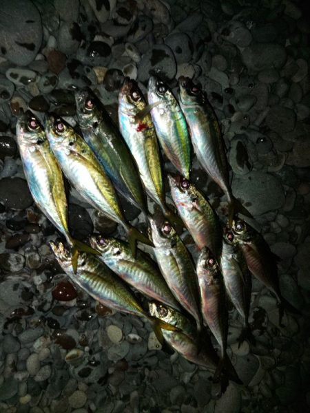 フロートゲーム～