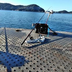 フカセ‥最高ですネ・・