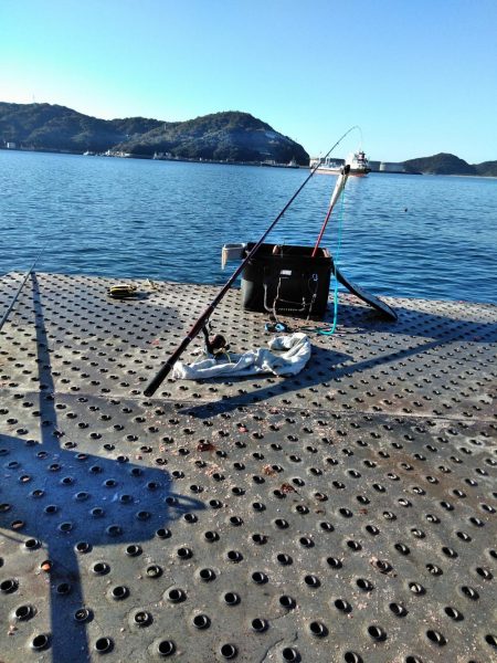 フカセ‥最高ですネ・・