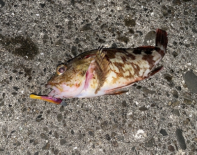 2日続けての関電波止！