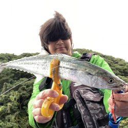 A.P.Pフィッシングガイドサービス　堤防と磯をチェックしていく