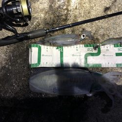 2021 佐渡ヶ島エギング 42回目