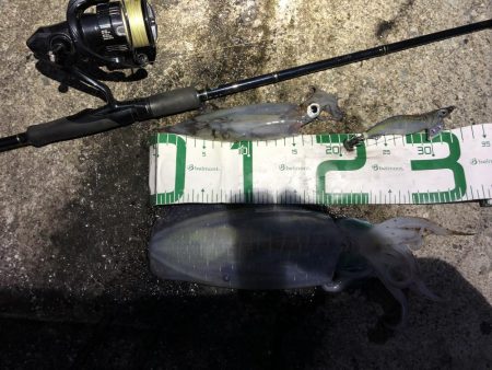 2021 佐渡ヶ島エギング 42回目