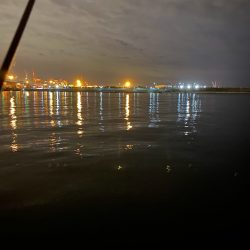 舞洲アジング 中アジ攻略