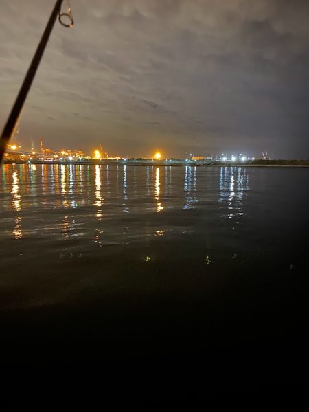 舞洲アジング 中アジ攻略