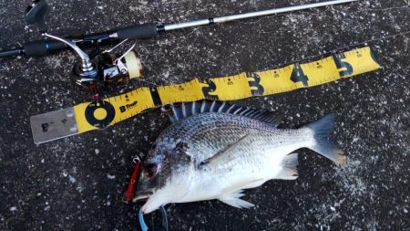 ぶら河川調査！！