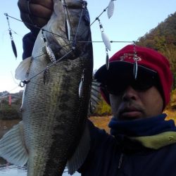 ワンフックアラバマでぽつぽつ