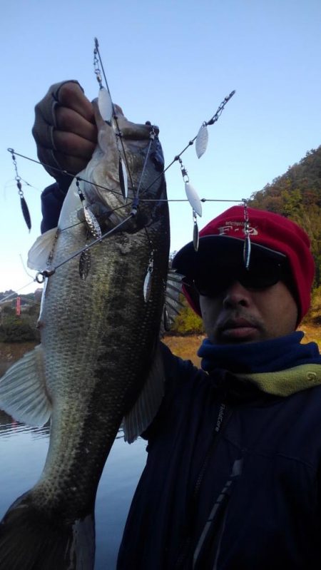 ワンフックアラバマでぽつぽつ