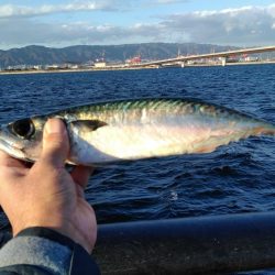 なんで～　こっちのエ～サは、まずい～