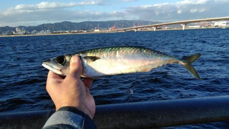 なんで～　こっちのエ～サは、まずい～