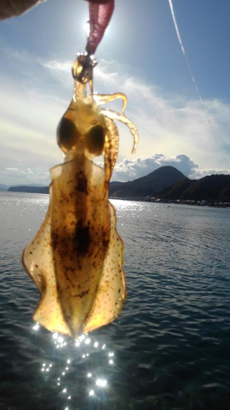 やっぱり信頼の・・⤴…