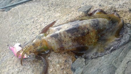 丹後半島遠足??