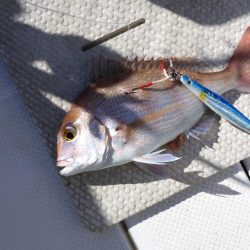 天候に恵まれたオフショア