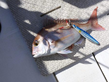 天候に恵まれたオフショア