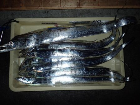 メーターオーバー出ました！