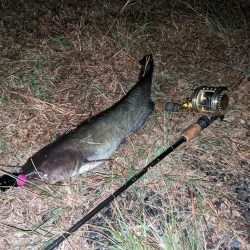 拝啓カンパリ様