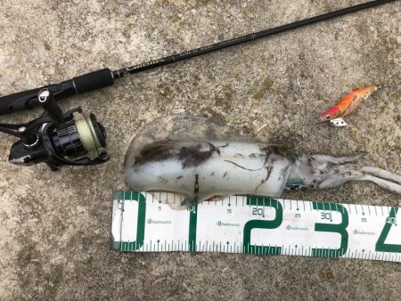 2021佐渡ヶ島 エギング　45回目