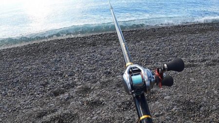 今のスマ（平ソーダカツオ）は最高に美味しい。