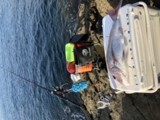 神谷荘さんで磯カゴ