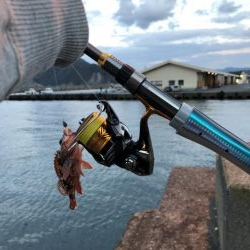 お魚ロッドでガッシー
