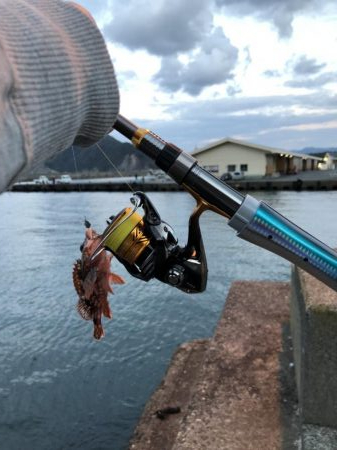 お魚ロッドでガッシー