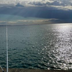 カレイと五目釣り