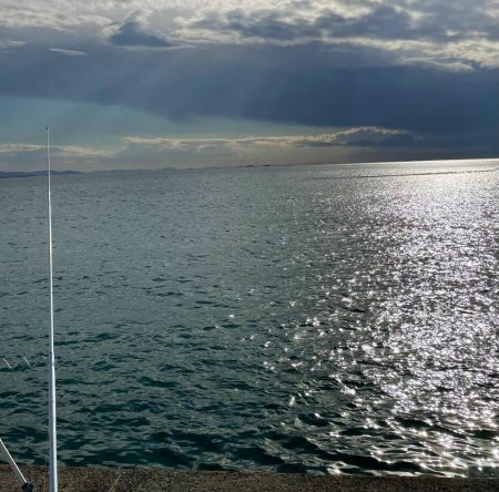 カレイと五目釣り