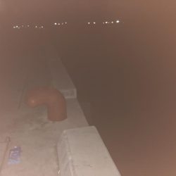 ヒイカ爆釣のカギ