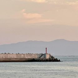 夕まづめカレイ