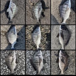 イチノ兄弟、釣果!