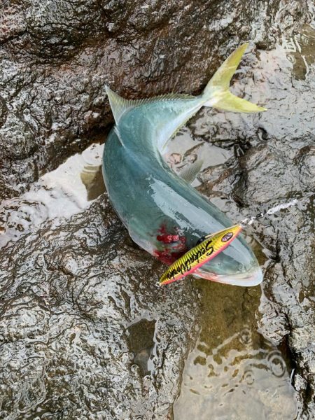 ショアジギング　ブリ　北海道　アトラス100g
