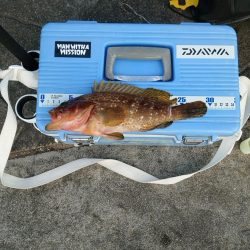 キャンプ帰りの