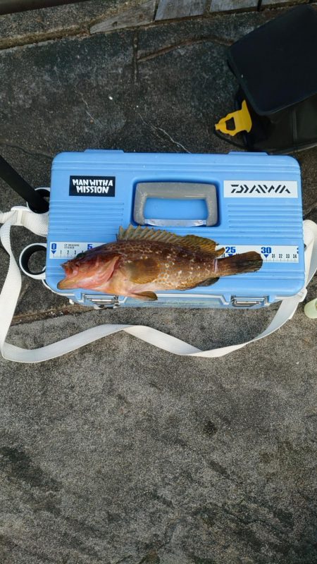 キャンプ帰りの