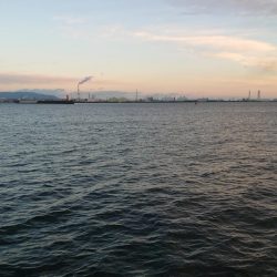 今日渋かった…