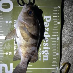 防寒対策しっかりしよう