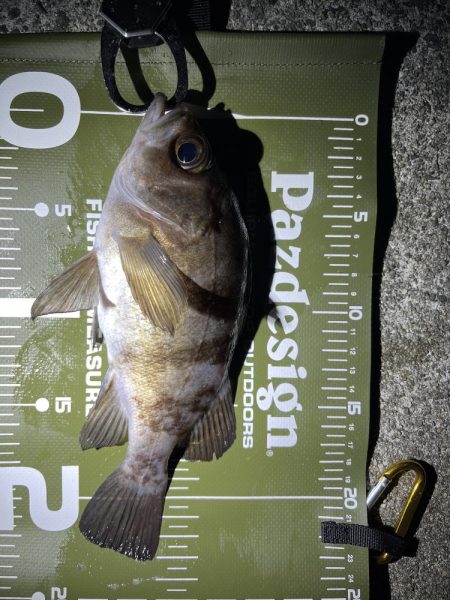 防寒対策しっかりしよう