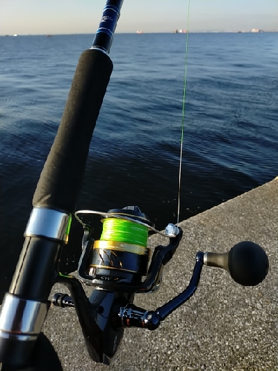 朝マヅメシーバス