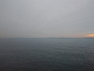 今シーズン初太刀魚