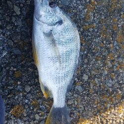 いろいろ出会えたひ