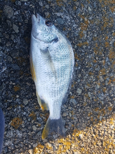 いろいろ出会えたひ