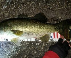 やっとやっとの