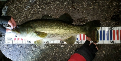 やっとやっとの